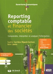 Reporting Comptable Et Financier Des Societes 