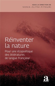 Reinventer La Nature : Pour Une Ecopoetique Des Litteratures De Langue Francaise 