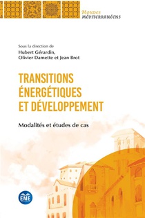 Transitions Energetiques Et Developpement - Modalites Et Etudes De Cas 