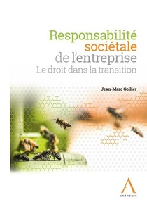 Responsabilite Societale De L'entreprise ; Le Droit Dans La Transition (1re Edition) 