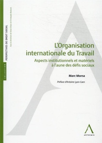 L'organisation Internationale Du Travail : Aspects Institutionnels Et Materiels A L'aune Des Defis Sociaux 