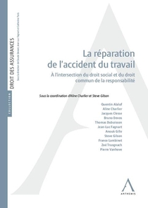 La Reparation De L'accident Du Travail : A L'intersection Du Droit Social Et Du Droit Commun De La Responsabilite (1re Edition) 