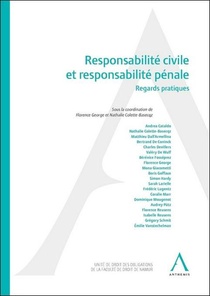 Responsabilite Civile Et Responsabilite Penale : Regards Pratiques 