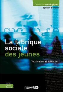 La Fabrique Sociale Des Jeunes ; Socialisations Et Institutions 