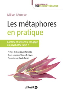 Les Metaphores En Pratique ; Comment Utiliser Le Langage En Psychotherapie ? 