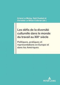 Travail Et Societe / Work And Society - T85 - Les Defis De La Diversite Culturelle Dans Le Monde Du 