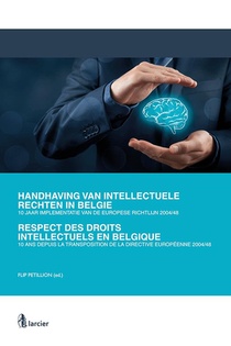 Respect Des Droits Intellectuels En Belgique ; 10 Ans Depuis La Transposition De La Directive Europeenne 2004/48 