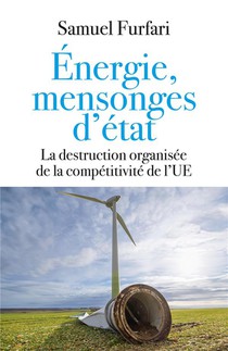 Energie, Mensonges D'etat : La Destruction Organisee De La Competitivite De L'ue 