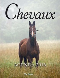 Chevaux ; Agenda 2016 