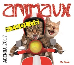 Animaux Rigolos Agenda 2017 