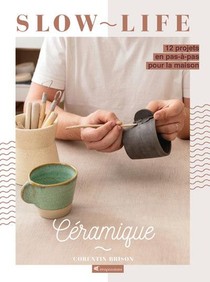 Ceramique : 12 Projets En Pas-a-pas Pour La Maison 