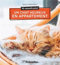 10 Conseils Pour Un Chat Heureux De Vivre En Appartement 