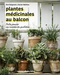 Plantes Medicinales Au Balcon : Faites Pousser Vos Remedes Du Quotidien 