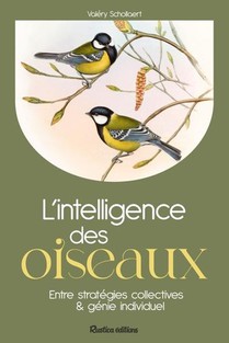 L'intelligence Des Oiseaux : Entre Strategies Collectives & Genie Individuel 