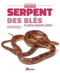 Serpent Des Bles & Autres Serpents Ratiers ; Pantherophis Guttata, P. Obsoletus, Bogertophis... 