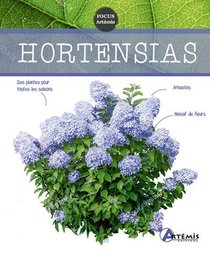 Hortensias 