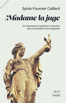 Madame La Juge : De L'instruction A L'audience, Immersion Dans Le Quotidien D'une Magistrate 