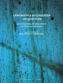 L'emergence Du Chasseen En Question : Les Enceintes De Beaumont Le "crot Aux Moines" 