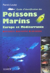 Guide D'identification Des Poissons Marins 