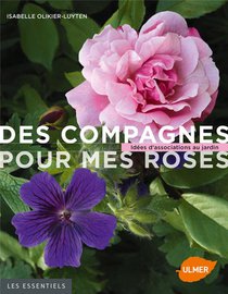 Des Compagnes Pour Mes Roses ; Idees D'associations Au Jardin 
