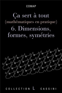 Ca Sert A Tout (mathematiques En Pratique) Tome 6 ; Dimensions, Formes Et Symetries 