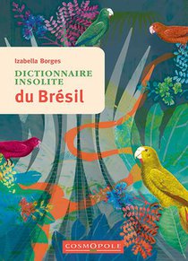 Dictionnaire Insolite Du Bresil 