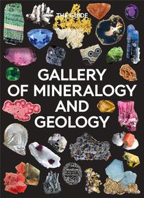 Gallery Of Mineralogy And Geology: The Guide 