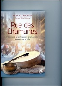 Rue Des Chamanes ; Initiation A La Pratique Du Chamanisme Au Cur De La Ville 