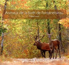 Animaux De La Foret De Fontainebleau 