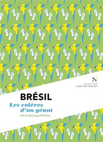 Bresil ; Les Coleres Du Geant 