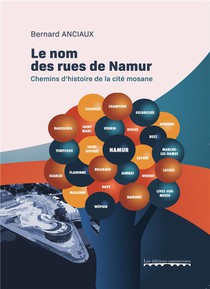 Le Nom Des Rues De Namur : Chemins D'histoire De La Cite Mosane 