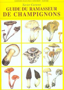 Guide Du Ramasseur De Champignons 