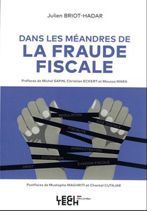 Les Meandres De La Fraude Fiscale 