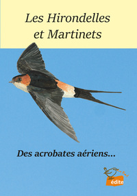 Les Hirondelles Et Martinets - Des Acrobates Aeriens 