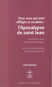 Pour Ceux Qui Sont Affliges Et Accables : L'apocalypse De Saint Jean 