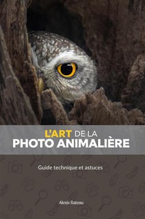 L'art De La Photo Animaliere : Guide Technique Et Astuces 