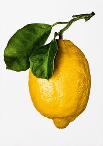 The Gourmand's Lemon : A Collection Of Stories & Recipes 