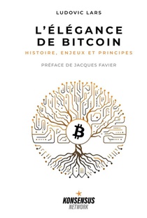 L'elegance De Bitcoin : Histoire, Enjeux & Principes 