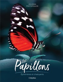 Les Papillons : Ephemeres Et Chatoyants 