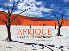 Afrique : L'ame D'un Continent 
