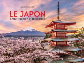 Le Japon : Entre Tradition Et Modernite 