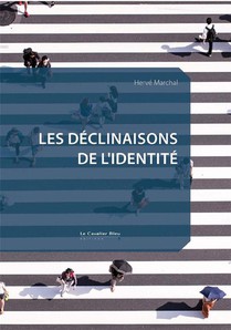 Decloisonner Les Identites : Essai Sur Les Enjeux Anthropologiques De L'alterite 