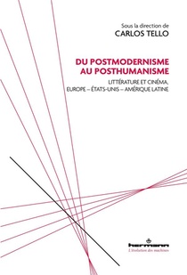 Du Postmodernisme Au Posthumanisme : Litterature Et Cinema, Europe - Etats-unis - Amerique Latine 