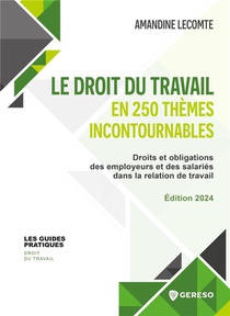 Le Droit Du Travail En 250 Themes Incontournables : Droits Et Obligations Des Employeurs Et Des Salaries Dans La Relation De Travail (edition 2024) 