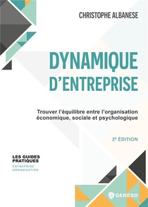 Dynamique D'entreprise : Trouver L'equilibre Entre L'organisation Economique, Sociale Et Psychologique (2e Edition) 