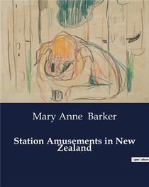 Station Amusements In New Zealand 