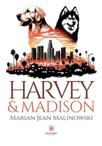 Harvey & Madison 