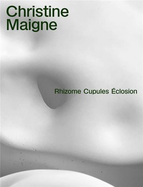 Rhizome Cupules Eclosion : Oeuvres Perennes Dans L'espace Public 