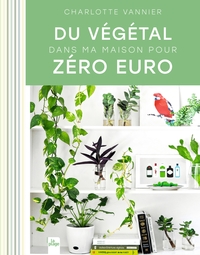 Du Vegetal Dans Ma Maison Pour Zero Euro 