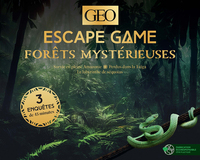 Escape Game : Forets Mysterieuses 